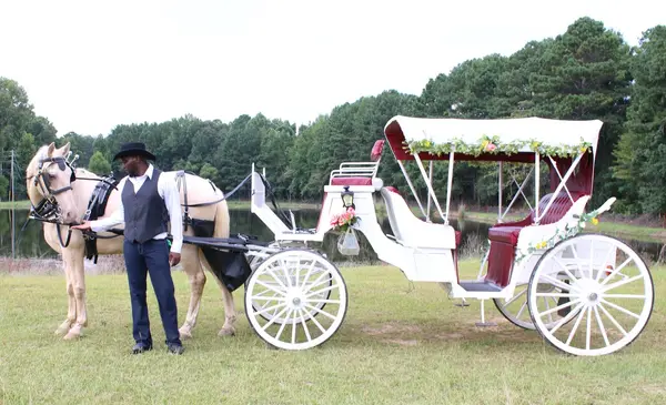 Mo's Carriages and Trail Rides