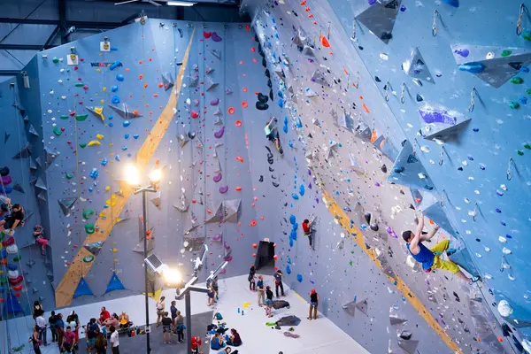 Mosaic Climbing