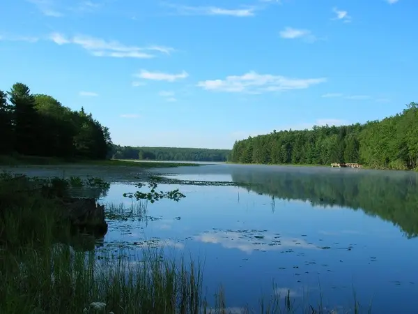Moshannon State Forest ATV Trails