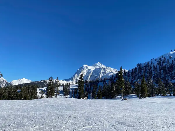 Mount Baker Ski School