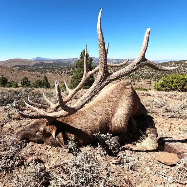 Mount Tobin Outfitters