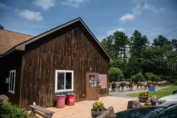 Mountain Creek Riding Stable