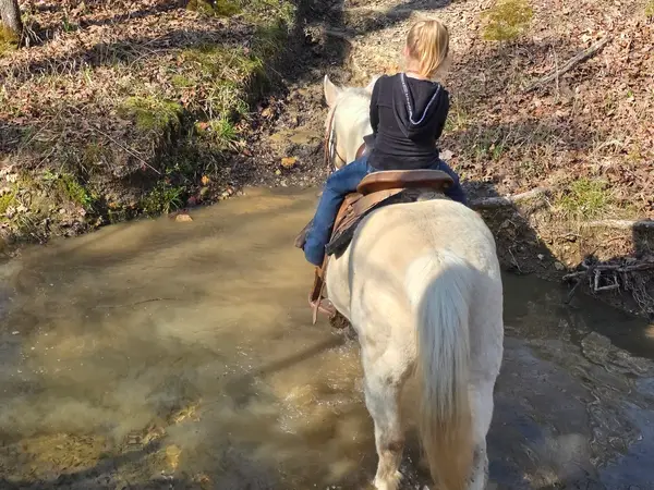 Mountain Harbor Riding Stable, Mt Ida, AR