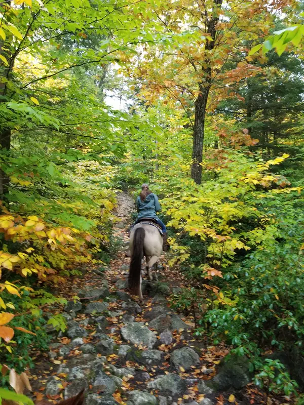 Mountain Lane Farm