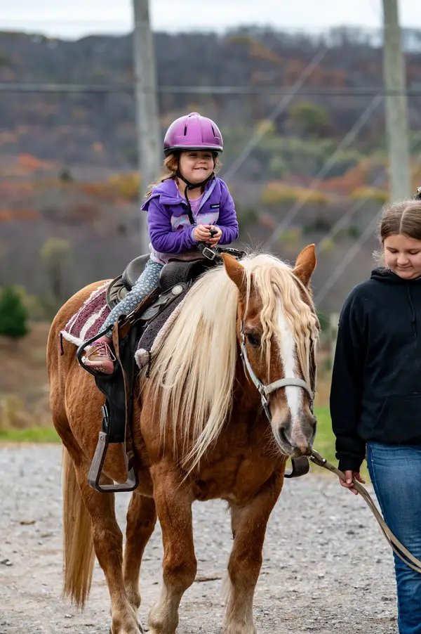 Mountain Trail Rides Horseback Riding & More, Davis, WV
