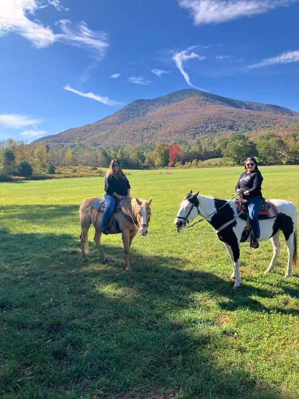 Mountain View Ranch, Danby, VT