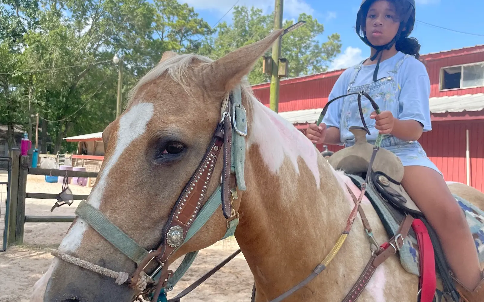 Ms Kathleen's Riding