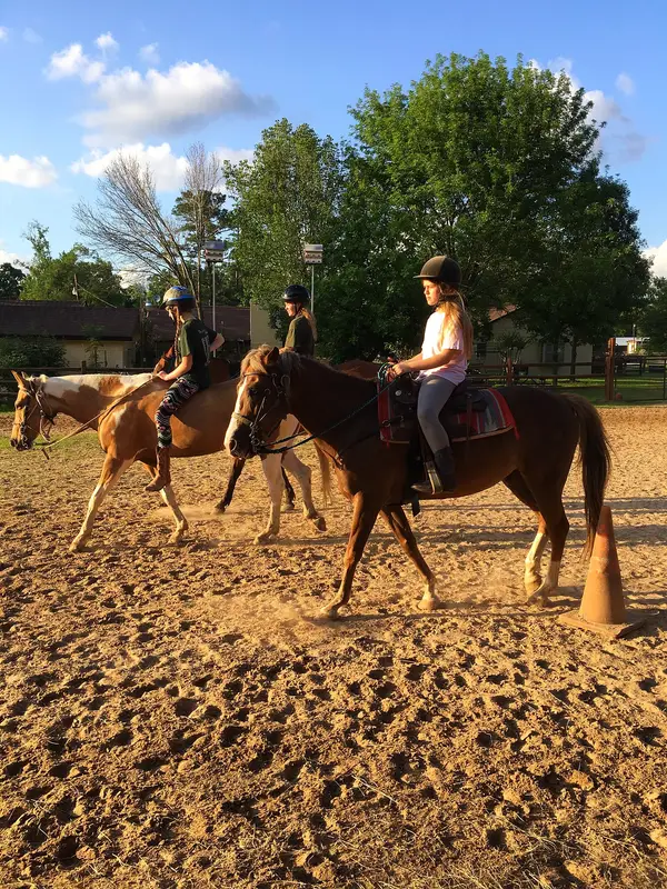 Ms Kathleen's Riding, photo 2