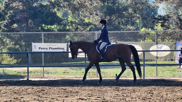Mt. Miguel Equestrian Center, photo 1