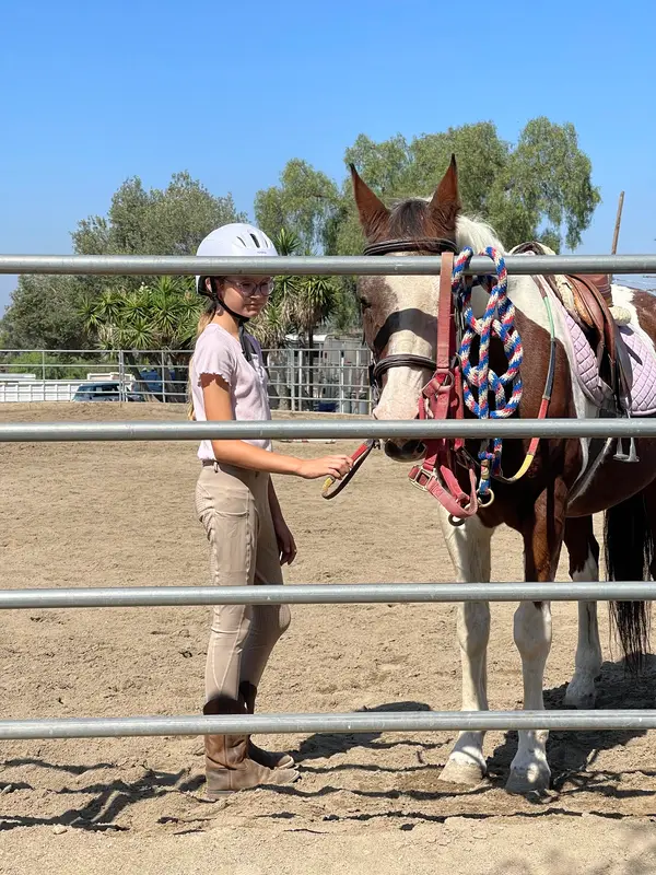 Mt. Miguel Equestrian Center, photo 3