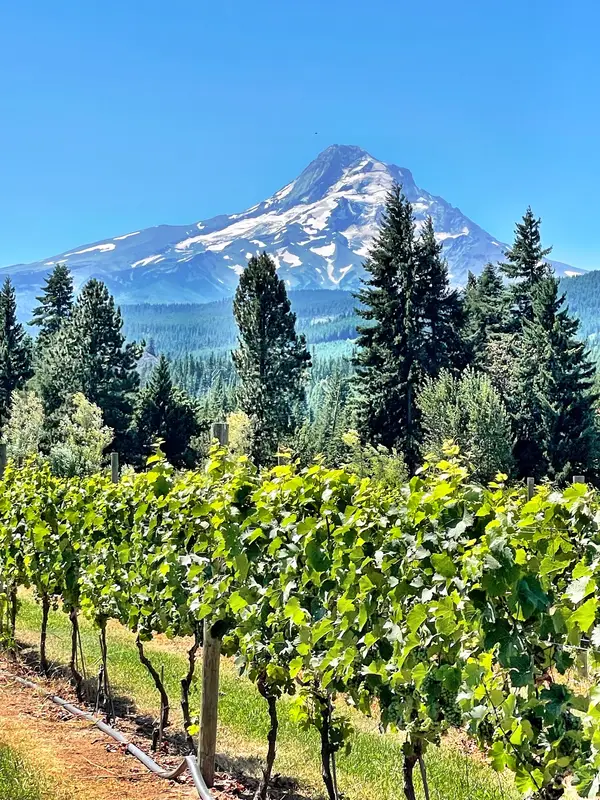 Mt View Orchards, Mt Hood, OR