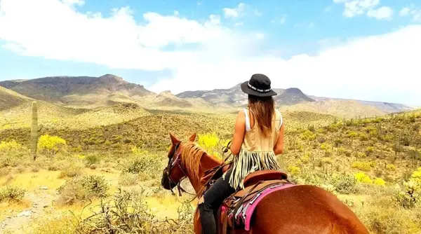 MTM Ranch Horseback Adventures