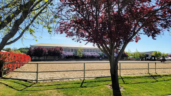 Murieta Equestrian Center, photo 2