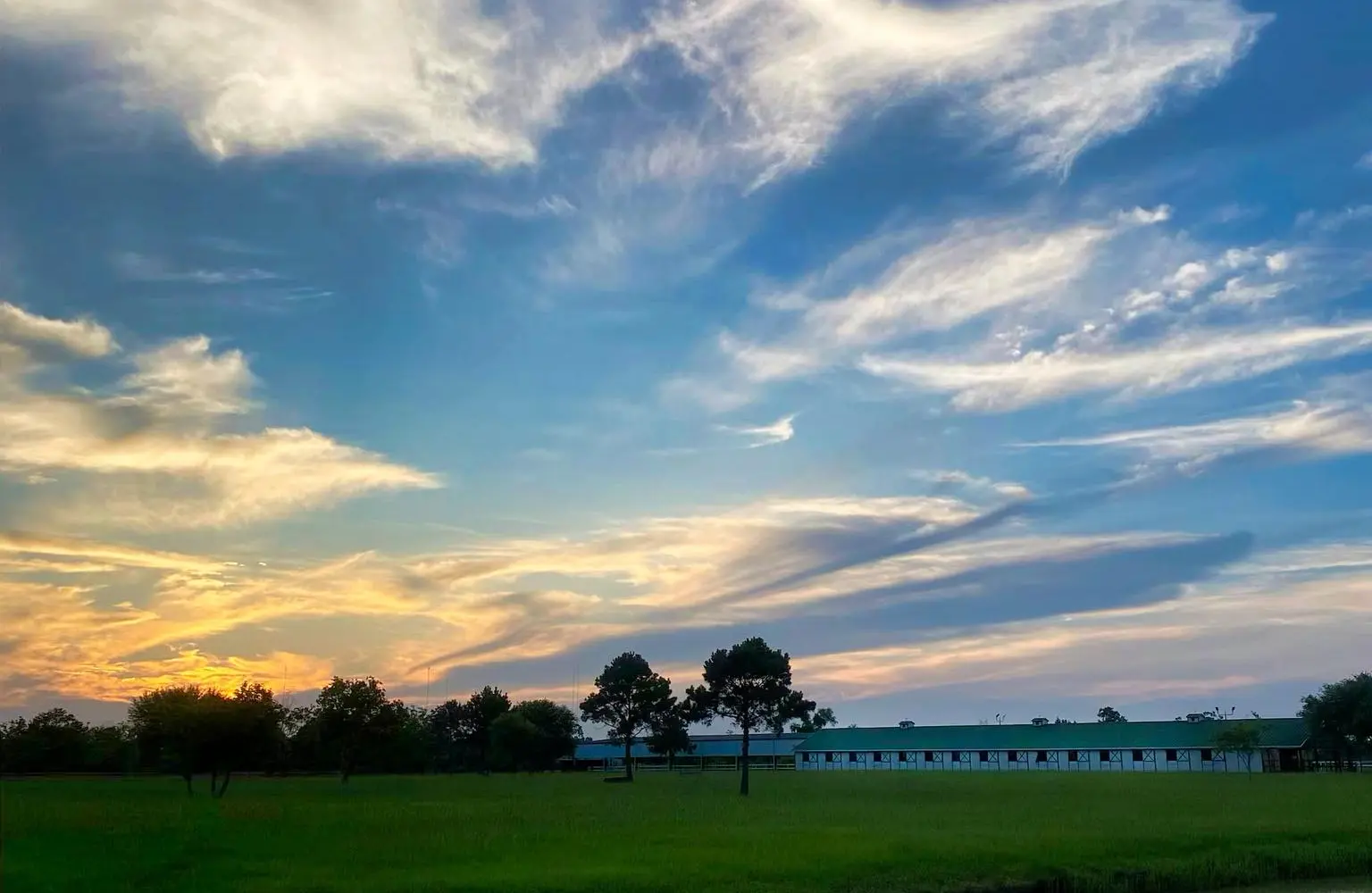 Mustang Bayou Stables