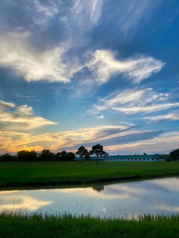 Mustang Bayou Stables