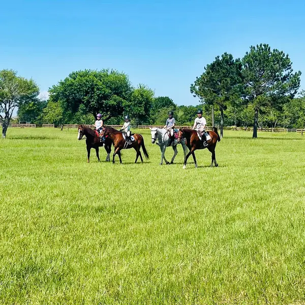 Mustang Bayou Stables, photo 1