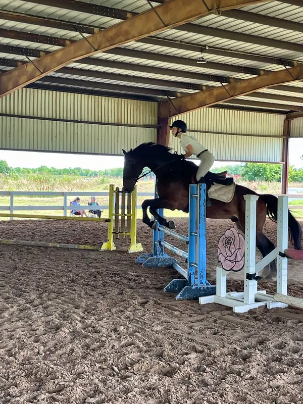 Mustang Bayou Stables, photo 3