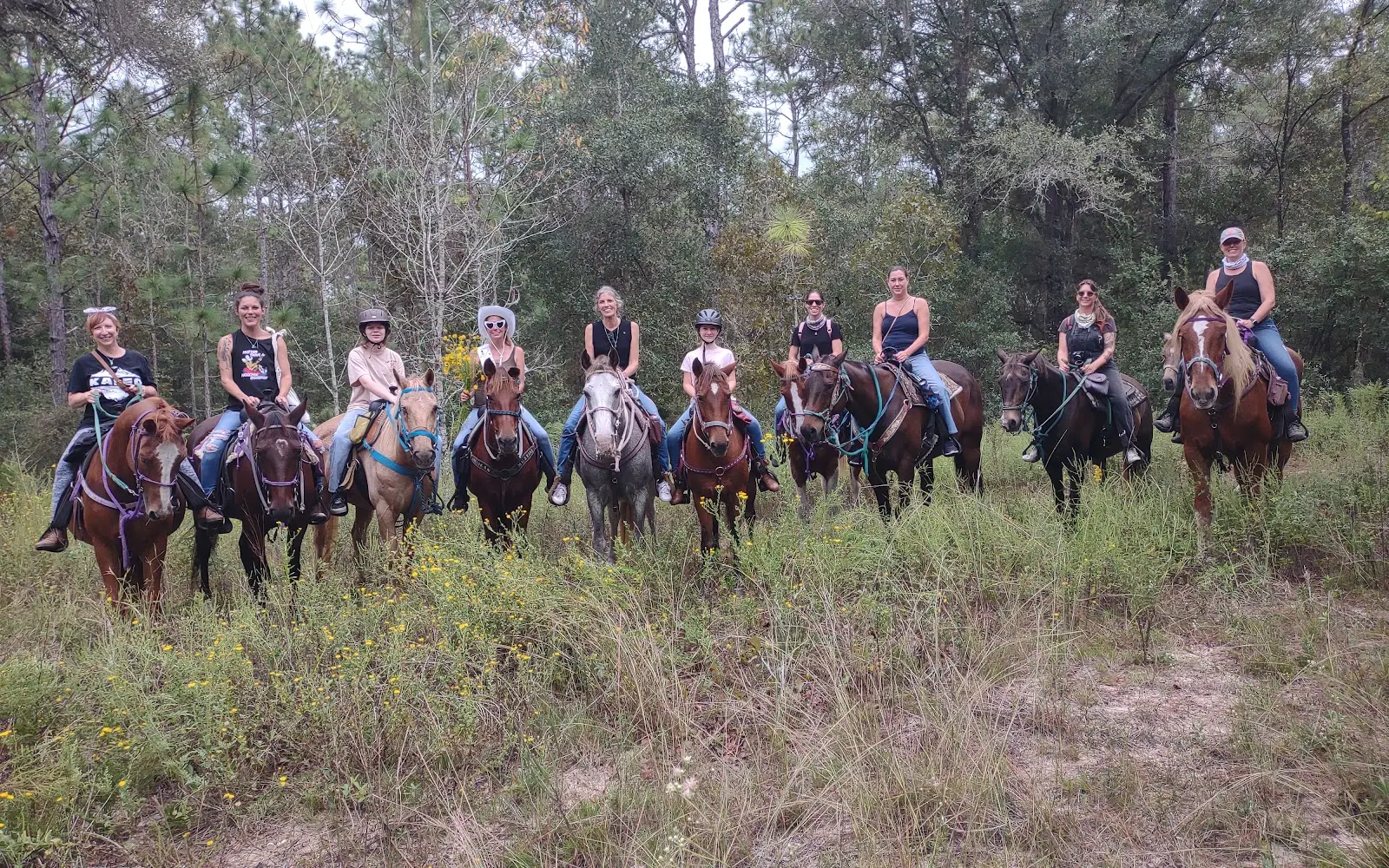 Mustang Moon Equine Solutions