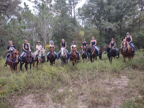 Mustang Moon Equine Solutions