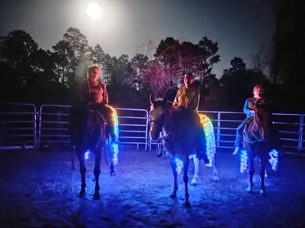 Mustang Moon Equine Solutions, photo 2