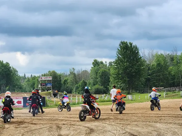 MX101, photo 2