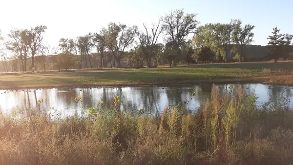 N P Dodge Park Marina