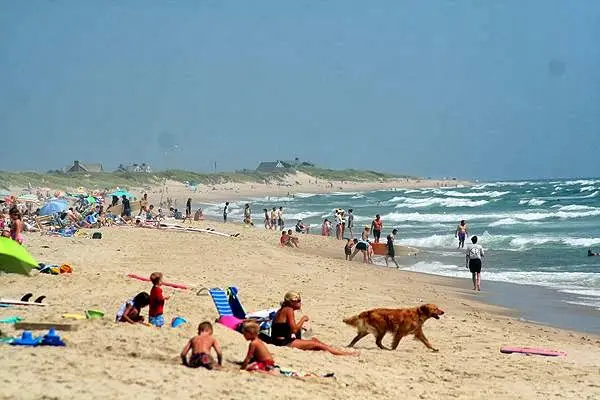 Nantucket Island Surf school, photo 3