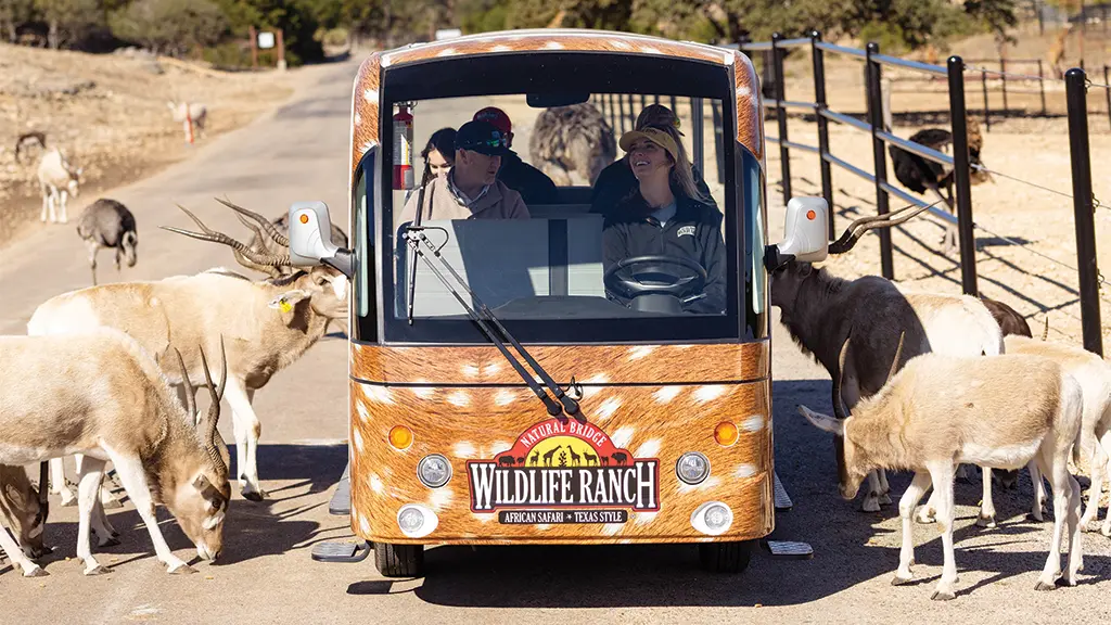 Natural Bridge Wildlife Ranch