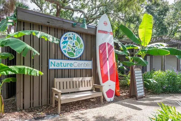 Nature Center Kayak and Paddleboard Tours, photo 3