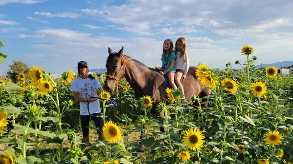 Nature Health Farms Petting Zoo, Airbnb, Alpaca Farm & Wedding Chapel in Pahrump, Pahrump, NV