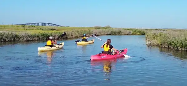 Nature Trails Kayaking, photo 4