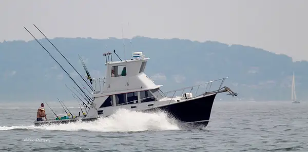 Nauti Dawg Fishing Charters