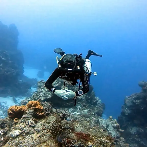 Nautical Adventures Scuba
