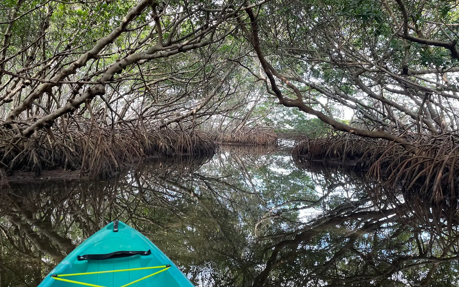 NautiKayak adventure tours