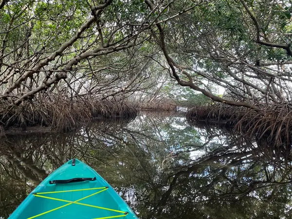 NautiKayak adventure tours