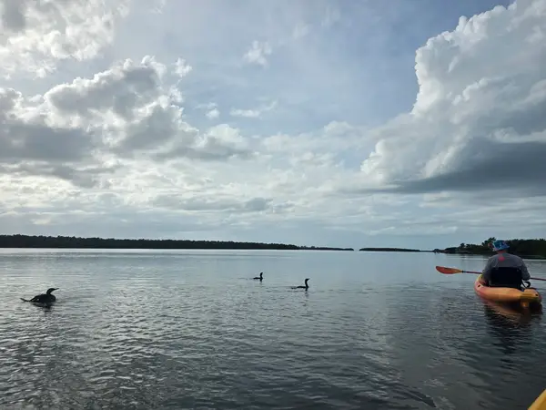 NautiKayak adventure tours, photo 3