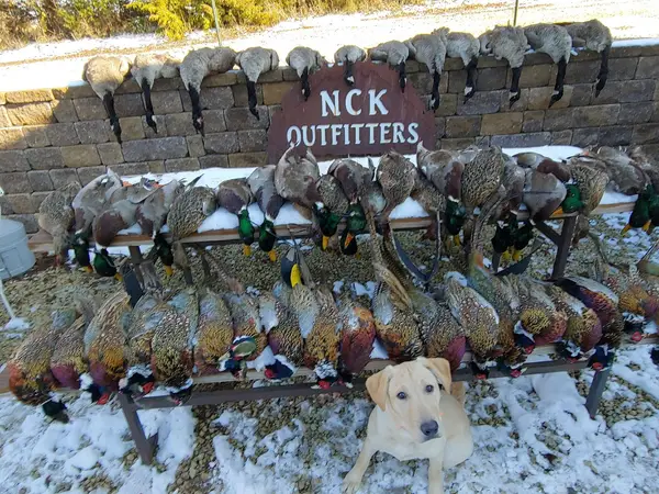 NCK Outfitters