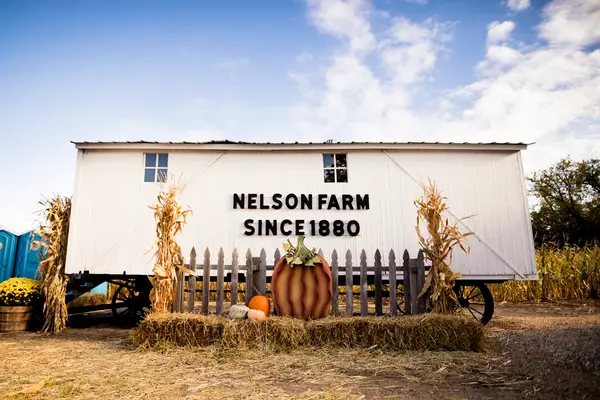 Nelson's Pumpkin Patch, Emerado, ND