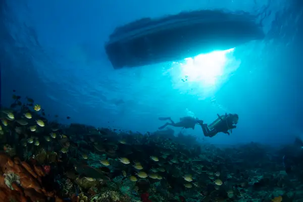 NEREN Diving Komodo