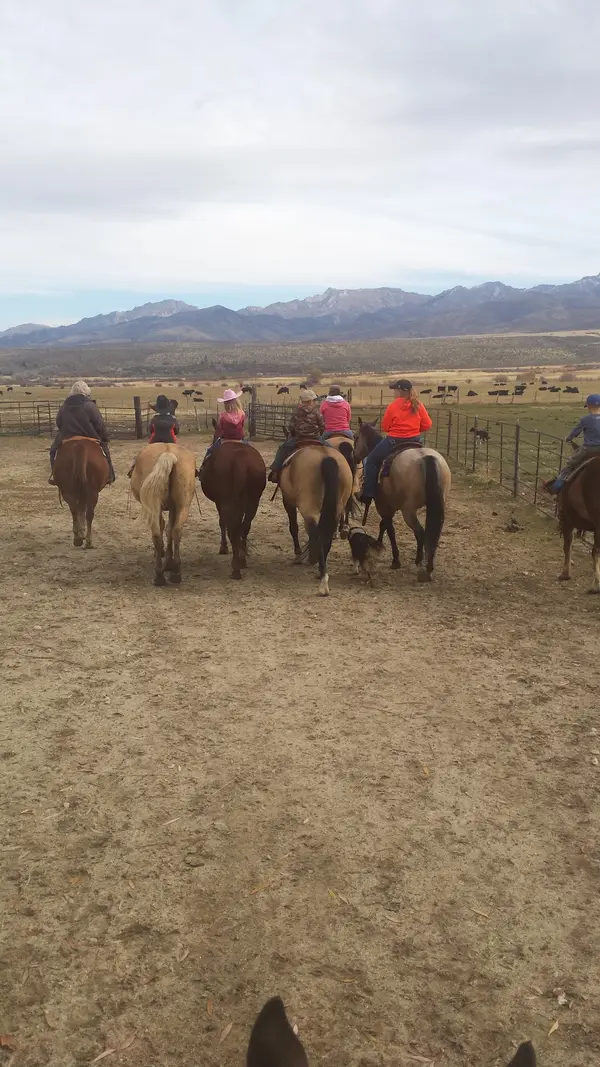 Nevada High Desert Outfitters