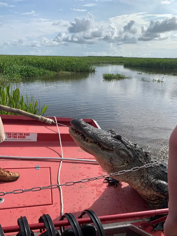 New Orleans Airboat Tours, LLC