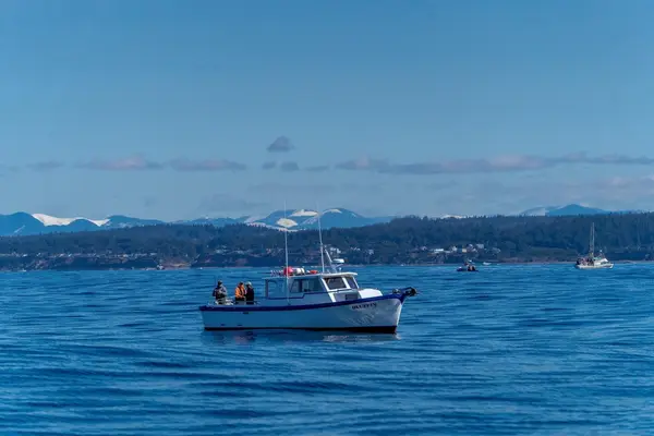 Newfin Charters, Newport, OR