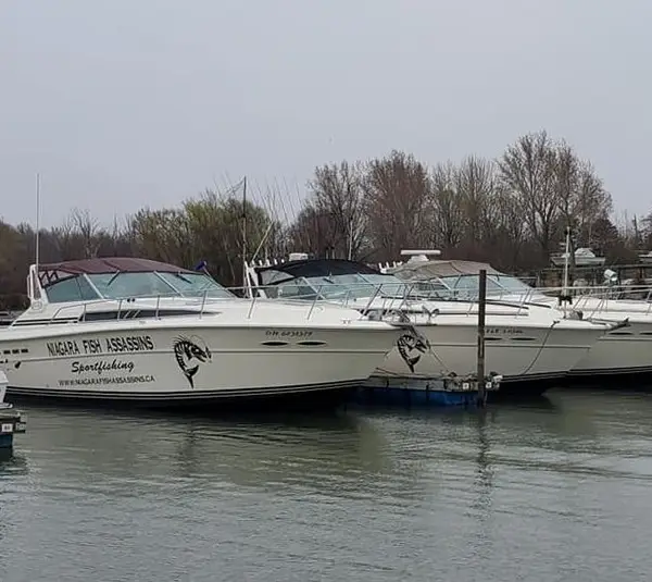 Niagara Fish Assassins, photo 3