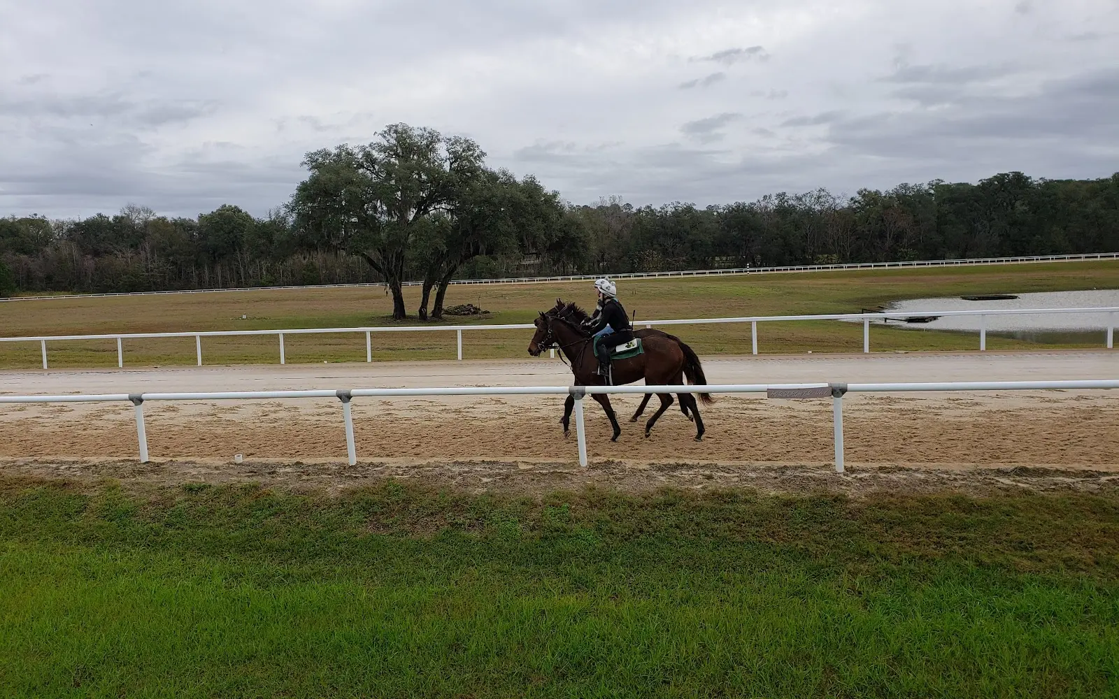 Niall Brennan Stable