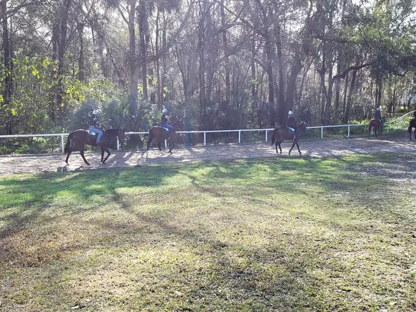Niall Brennan Stable, photo 2