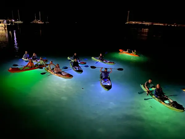 Night Kayak Key West, photo 4