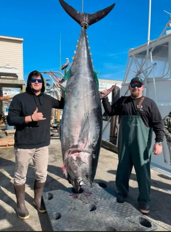 No Limit Sport Fishing