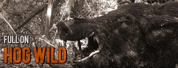 No Mercy Hunting Services, L.L.C.