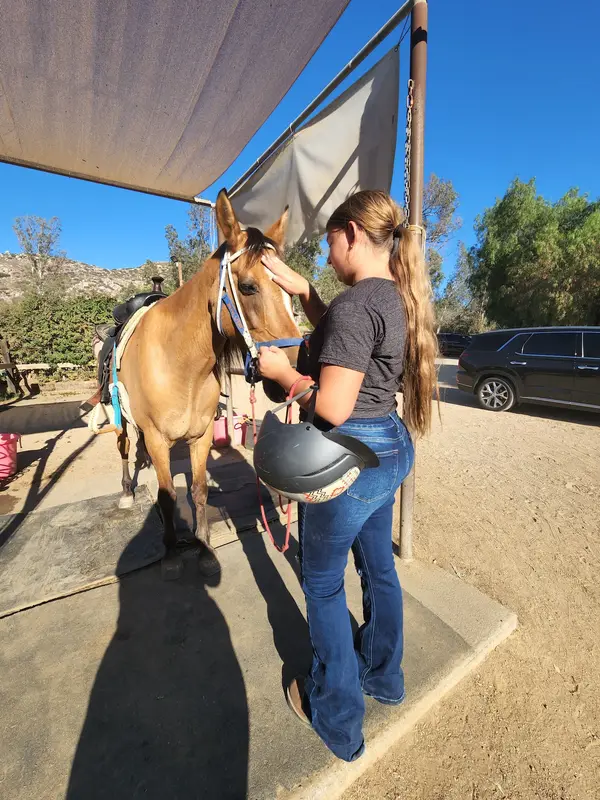 Norco Equestrian Academy