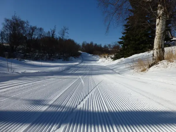 Nordic Skiing Association of Anchorage